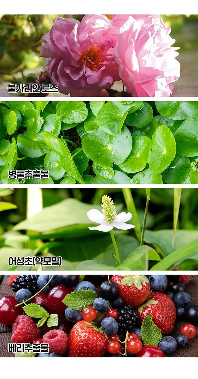[다크서클완화] 아이소이 브라이트닝 민감다크 아이크림 17ml 기획 (+3ml) 상세페이지 7